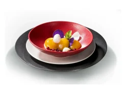 Prato de Salada e Massa Stone Rouge 19 cm (Conjunto de 6)