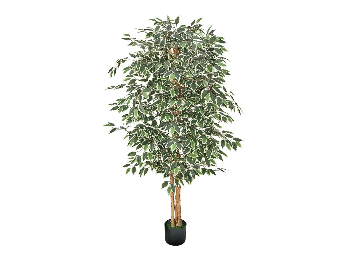 Árvores Artificiais SucceBuy Ficus Artificial de 180 cm com Vaso Preto, Planta Artificial Grande com Tronco de Madeira Natural e Folhagem Verde Realista