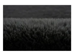 Tapete 290x200cm, design H008N na cor grafite - Conforto e elegância para o seu interior