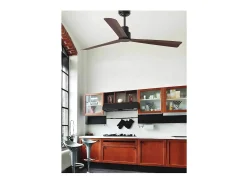 Ventilador NASSAU M Brown DC